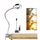LED Desk Lamp Clip Light Dimmable Gooseneck Reading Light Office Lamp Plant Growth Light Portable Table Lighting【Black/White】